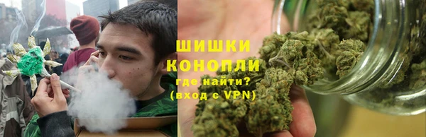 индика Арсеньев