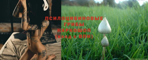 прущие крисы Балахна