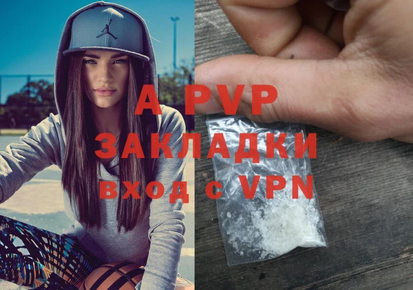 прущие крисы Балахна